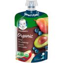 Gerber 2nd Foods Pears Blueberries Apples and Avocado Baby Food, 3.5 Ounce -- 12 per case.