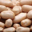 Azar Nut Raw Blanched Peanut, 12.5 Pound -- 2 per case.