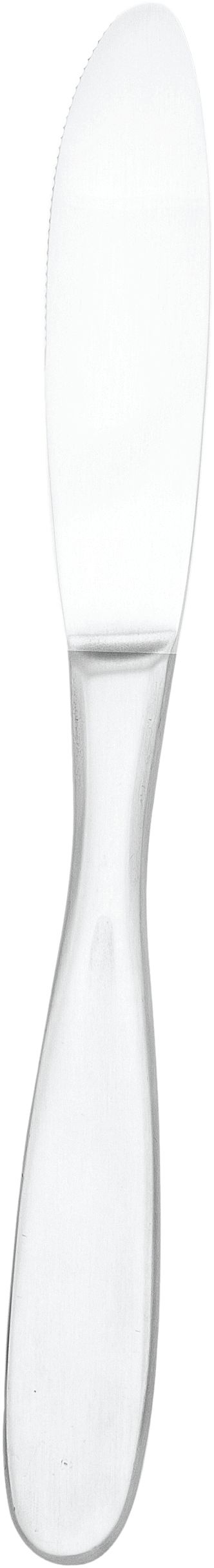 Walco 18/10 Stainless Hallmark 2000 Modernaire Table Knife -- 12 Per Case