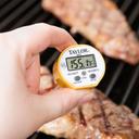 Thermometer H2Oprf Digital 1 Count per case