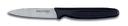 Knife Paring 3 1/8