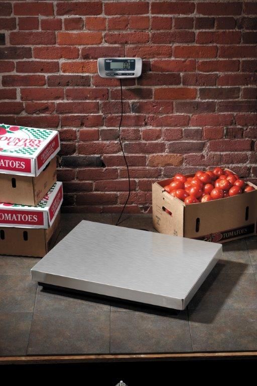 Edlund Ers Series Receiving Scale With Hold Feature, 300 Pound X 1 Pound