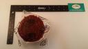 Broadleaf 3:1 Round Venison Patty, 1 Pound -- 10 per case.
