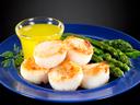 Frozen Seafood Premium 10 to 20 Count Dry Sea Scallops, 5 Pound -- 2 per case.