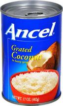 Goya Ancel Grated Coconut in Syrup, 17 Ounce -- 24 per case.