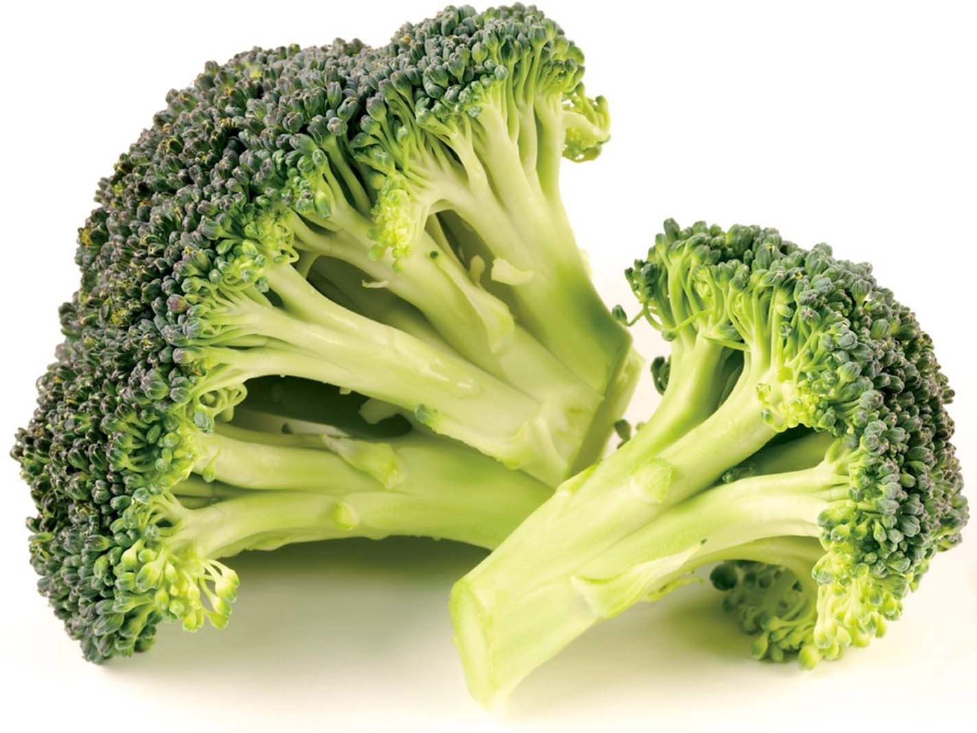 Savor Brands Broccoli Florets - Wet Pack, 2 Pound -- 12 per case.