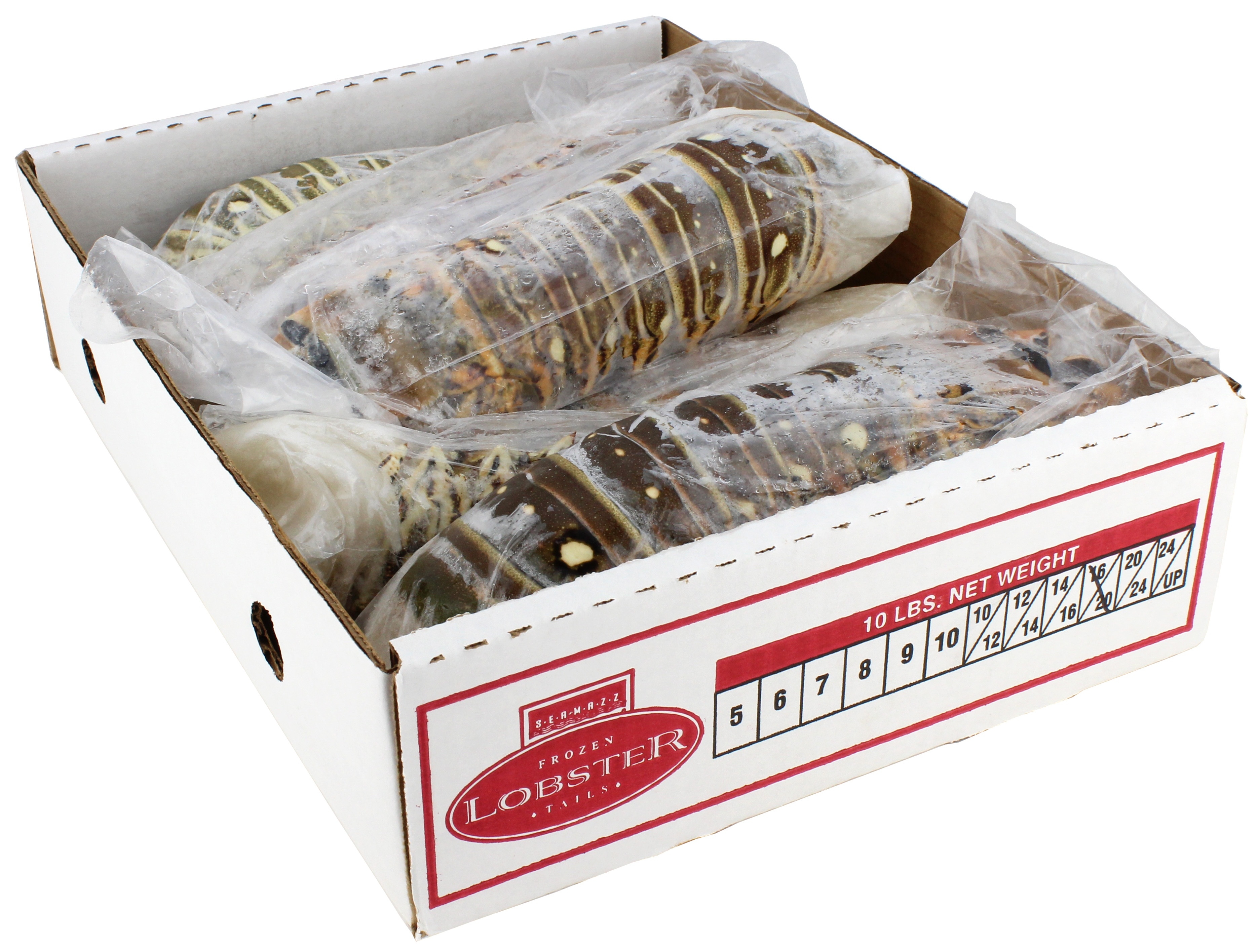 Seamazz 16 to 20 Ounce Lobster Tail, 10 Pound.