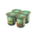 Activia Variety Pack Yogurt, 4 Ounce -- 24 per case.