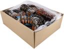 Seamazz Canadian Lobster Tail, 8 to 10 Ounce -- 16-20 per case