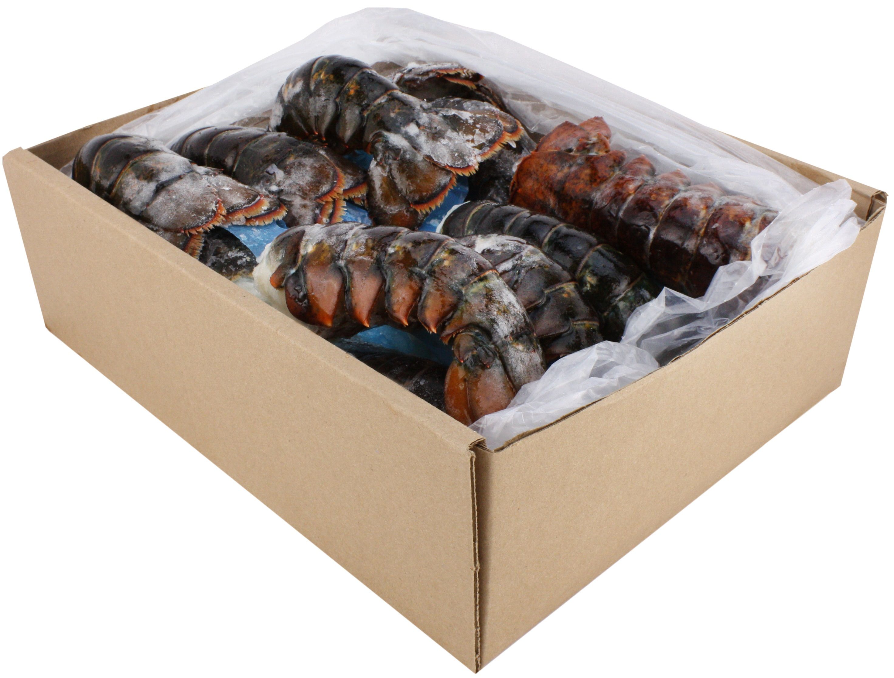 Seamazz Canadian Lobster Tail, 8 To 10 Ounce -- 16-20 Per Case