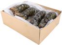 Seamazz Canadian Lobster Tail, 10 to 12 Ounce -- 13-16 per case