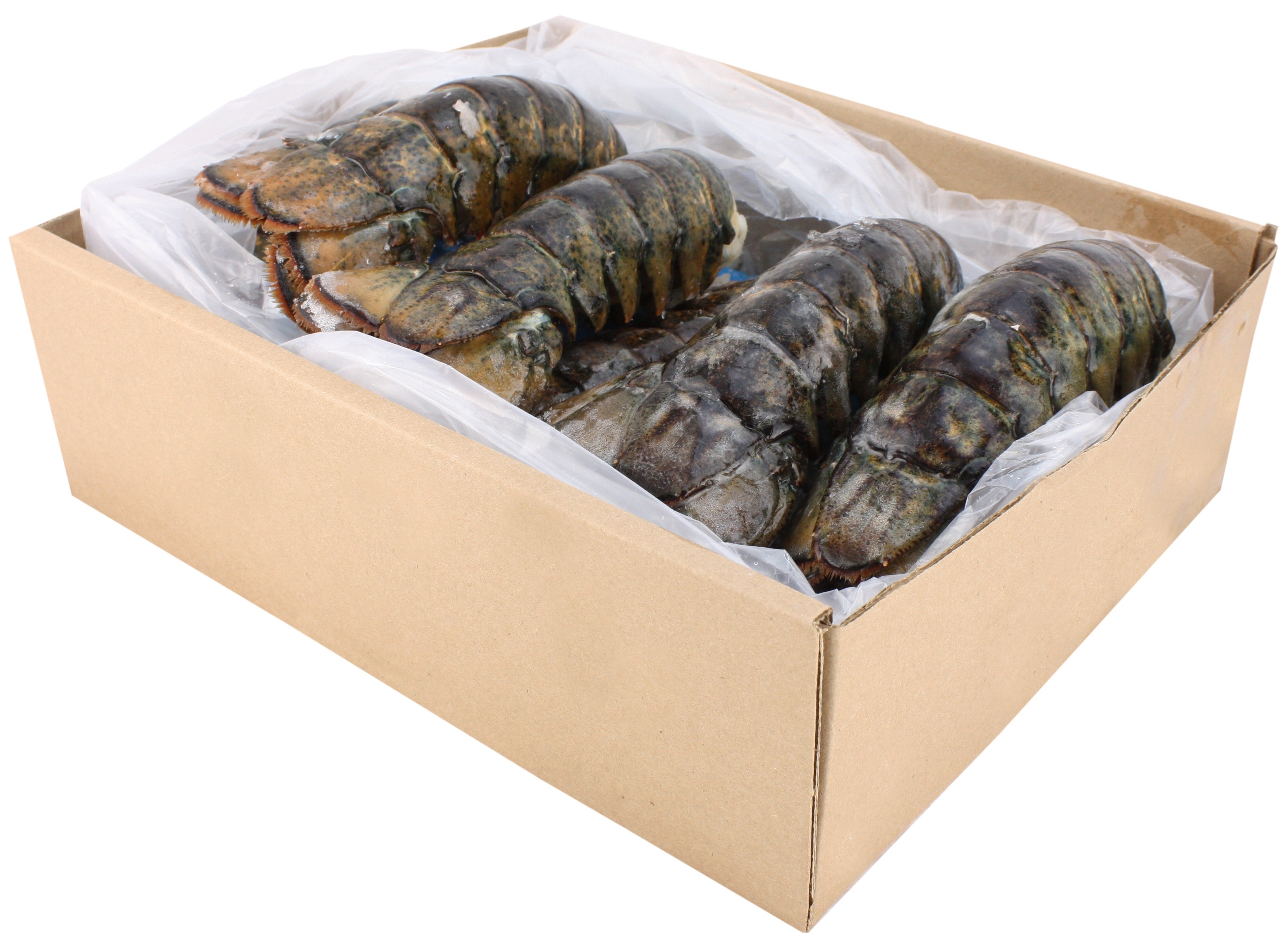 Seamazz Canadian Lobster Tail, 10 to 12 Ounce -- 13-16 per case