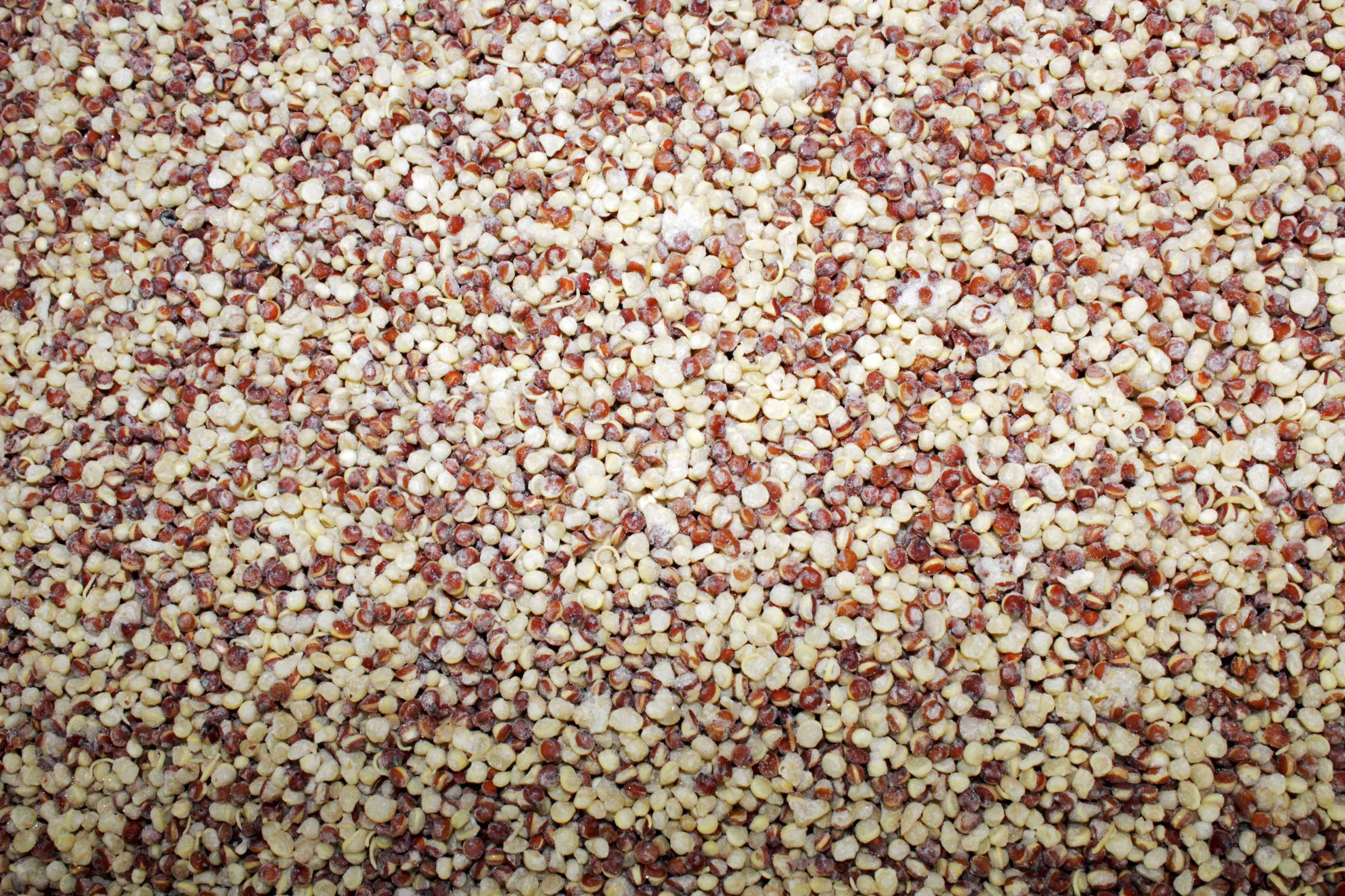 Savor Brands Individual Quick Frozen Red and White Quinoa, 30 Pound.