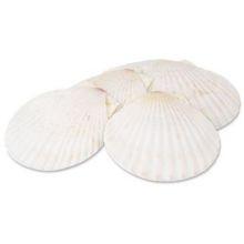 Product thumb gallery 298990
