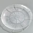 Crystal Petal Mist Elegant Clear Polycarbonate Plate 9 inch -- 36 per case