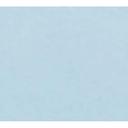 Cambro Fiberglass Sky Blue Dietary Tray, 19 x 12 inch -- 12 per case.