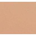 Cambro Dark Peach Rectangular Low Profile Rim Camtray, 20 3/4 25 9/16inch -- 6 per case.