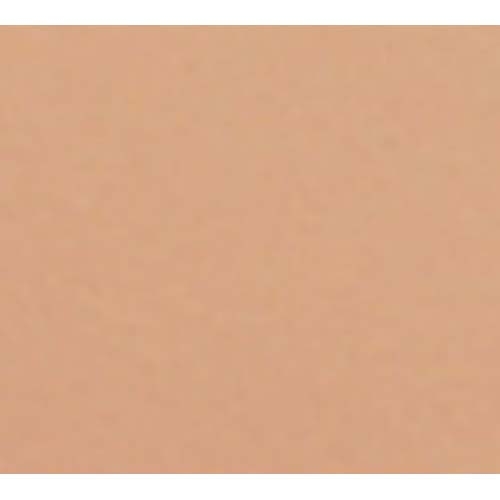 Cambro Dark Peach Rectangular Low Profile Rim Camtray, 4 1/4 x 6 inch -- 12 per case.