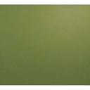 Cambro Olive Green Rectangular Low Profile Rim Camtray, 4 15/16 x 6 15/16 inch -- 12 per case.