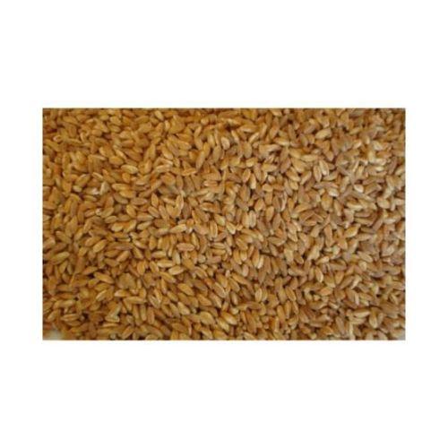 Product gallery 32560