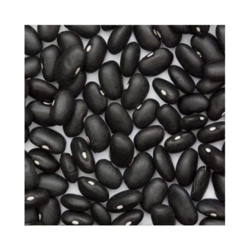 UNFI Organic Black Turtle Beans, 1 Pound -- 5 per case.