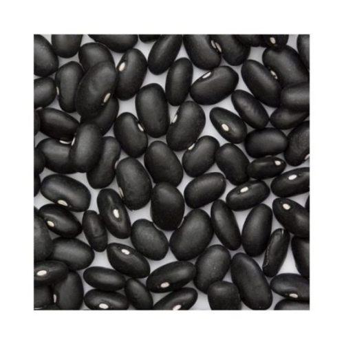 Product gallery 451661256