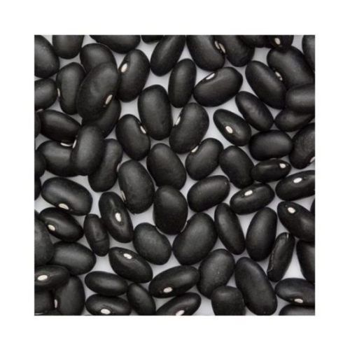 Unfi Organic Black Turtle Beans, 1 Pound -- 5 Per Case