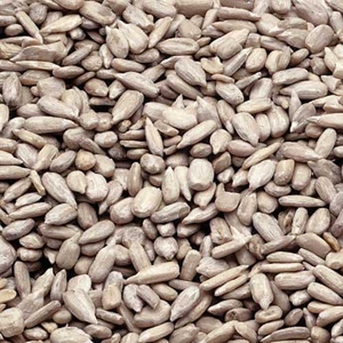 Product gallery 477184