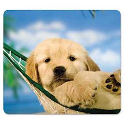Product thumb gallery 386434