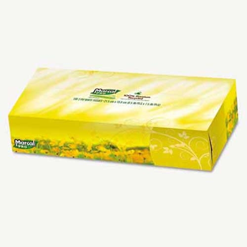 Marcal PRO 100% Recycled Convenience Pack Facial Tissue, White, 100/Box, 30 Boxes/Carton