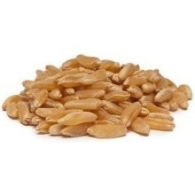 Unfi Organic Kamut Berry Grain, 25 Pound.