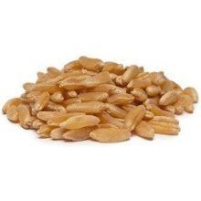 Product gallery 512791