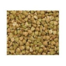 Product gallery 883055811