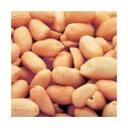 Azar Nut Blanched Oil Roasted Salted Peanut, 5 Pound -- 2 per case.