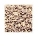 Azar Nut Oil Roasted Unsalted Sunflower Kernel, 25 Pound.