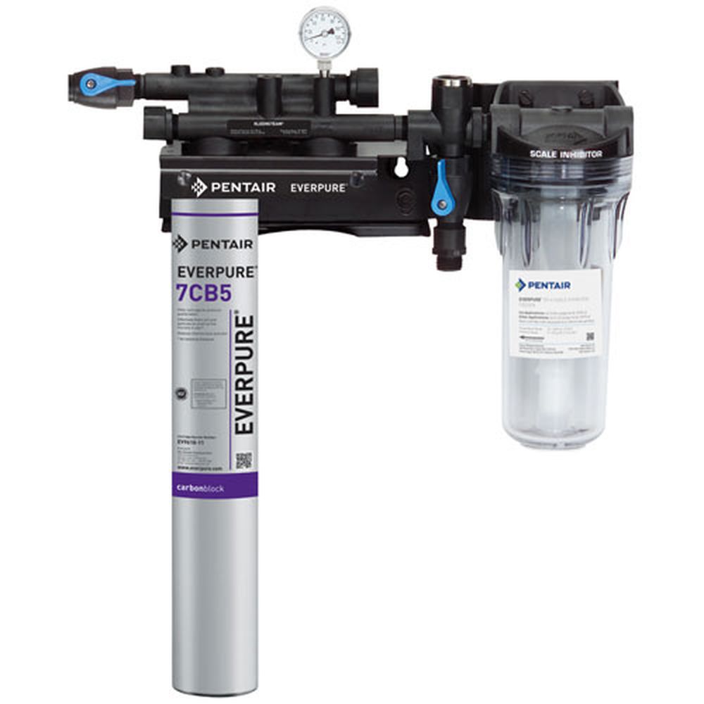 Everpure EVEEV979721 KleenSteam II Boiler Base Steamer Water Filter System