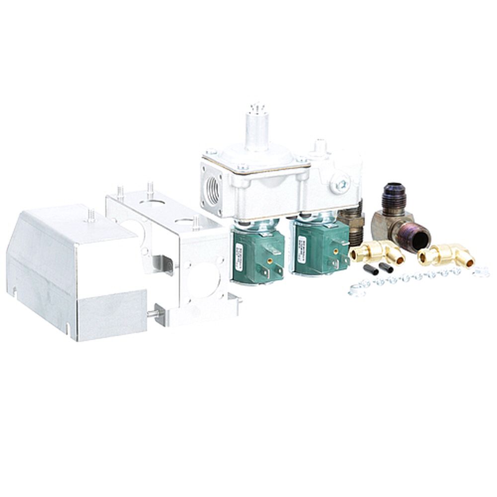 Henny Penny HEN87663-101 Dual Gas Solenoid Valve