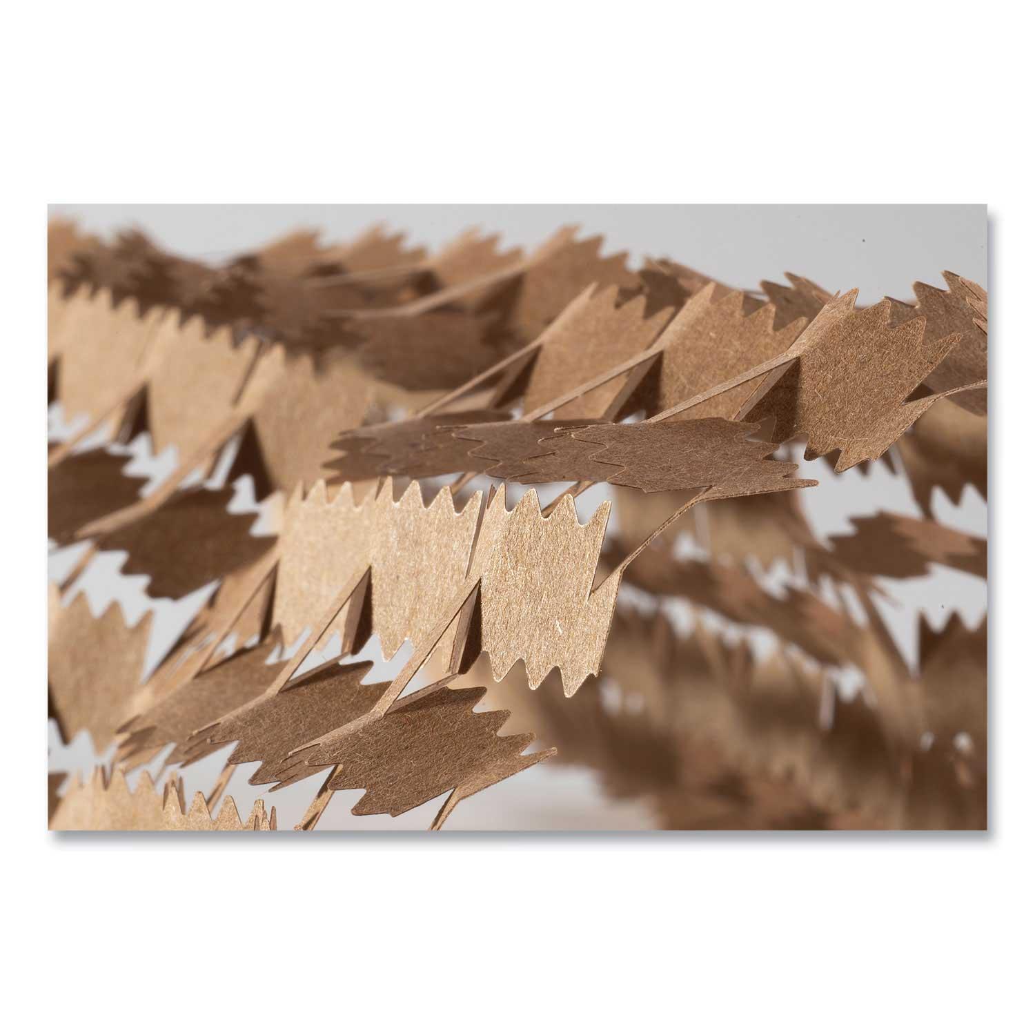 Product gallery 2631836