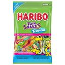 Twin Snakes Tropical Gummy Candy 8 Ounce