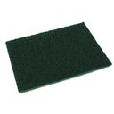 Green Medium Duty Antimicrobial Scour Pad