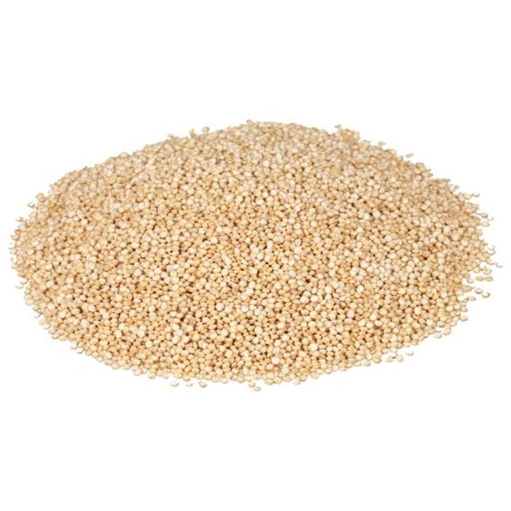 Product gallery 495157537