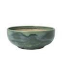 Aurora Revolution Jade Alumina Vitrified 23 Ounce Bowl, 12 count