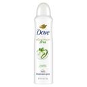 Derma Scalp Dandruff Relief Shampoo