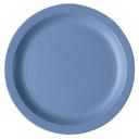 Cambro Narrow Rim Plate, Slate Blue, 9 inch -- 48 per case.