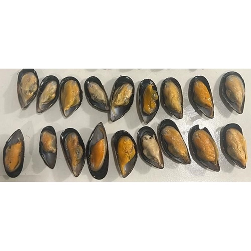 Oyster Bay Cooked Half Shell Mussels, 5 Pound -- 2 Per Case