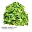 Commodity Vegetables Individual Quick Frozen Chopped Spinach, 20 Pound.