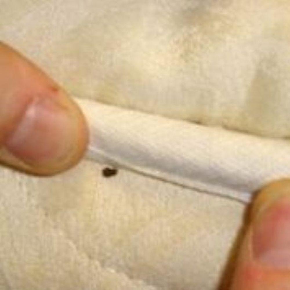 Product gallery 151067805