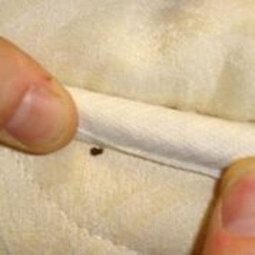 Product gallery 344524821