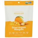 Dried Organic Mangoes