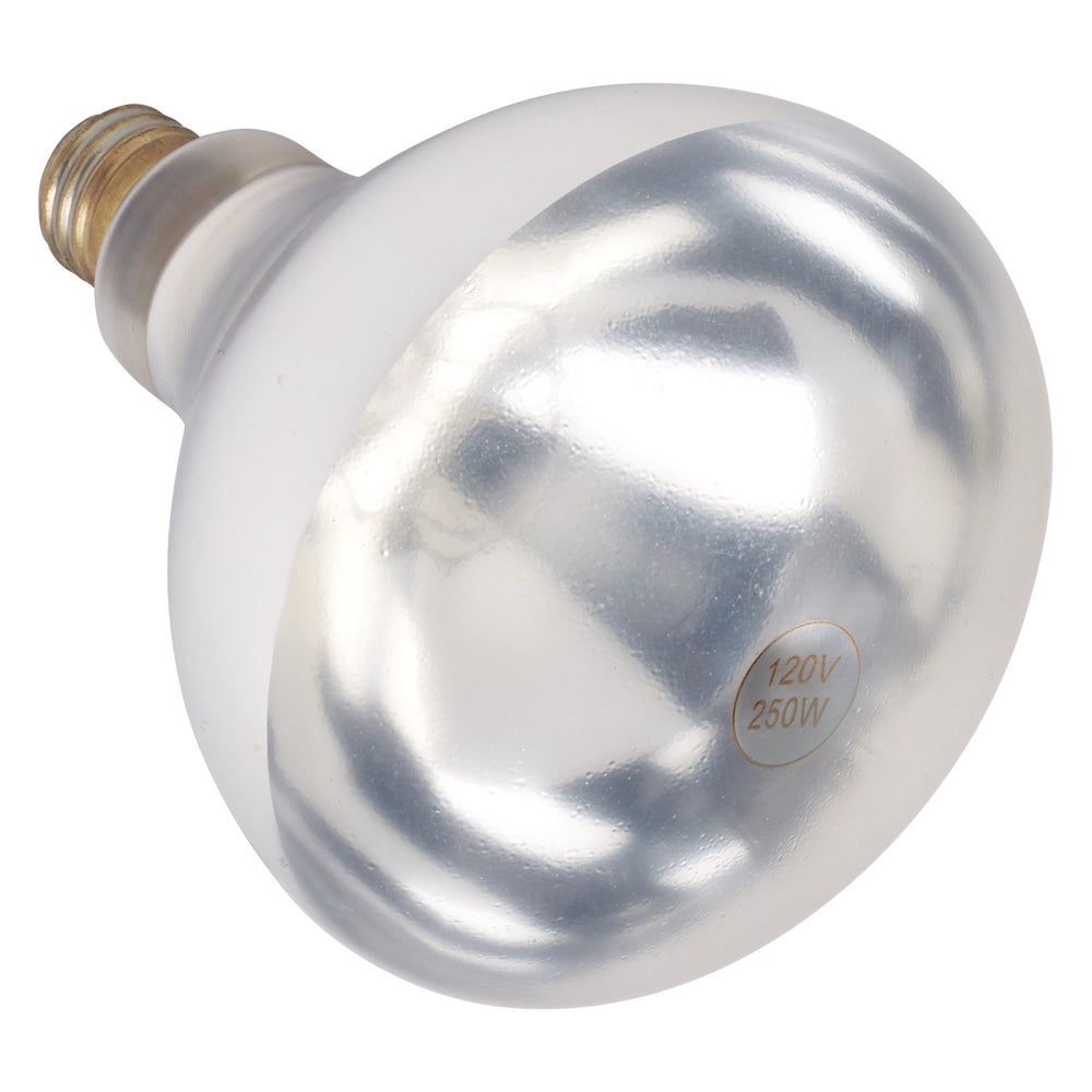 Winco 250W White Bulb for EHL-2 Heat Lamp Set -- 12 per case.